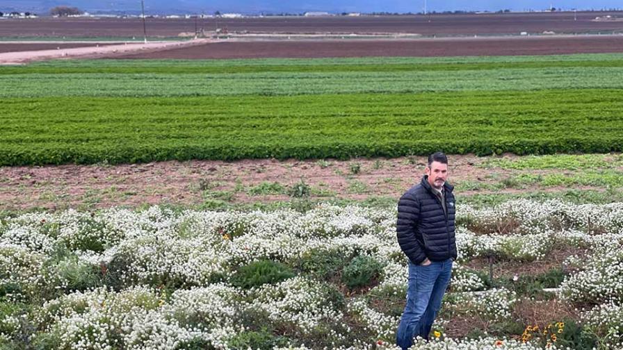 Eric Morgan in field at Braga Fresh Farms