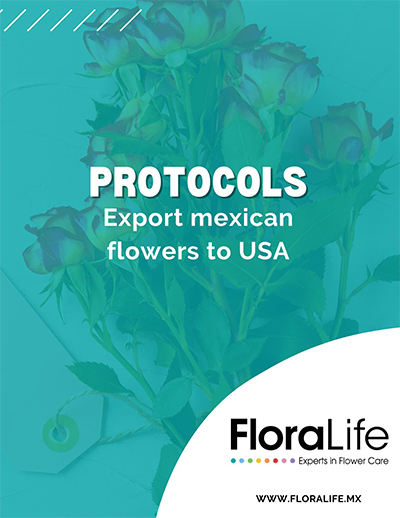 Teal colored title page with the words PROTOCOLS Exporting Mexican flowers to USA