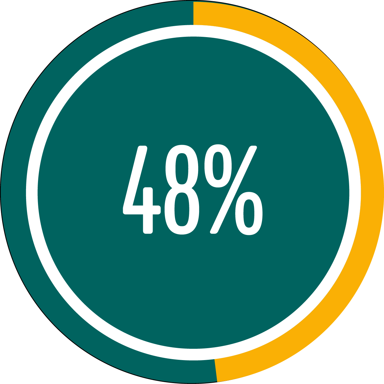 Circle graph showing 48 percent full