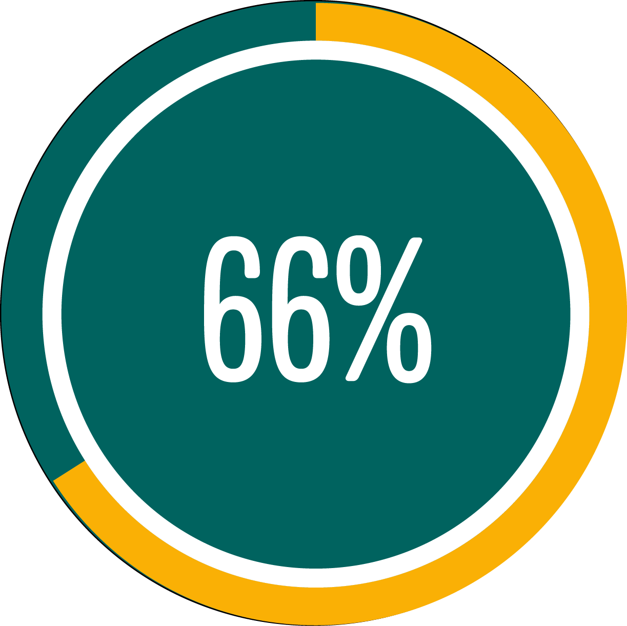 Circle graph showing 66 percent full