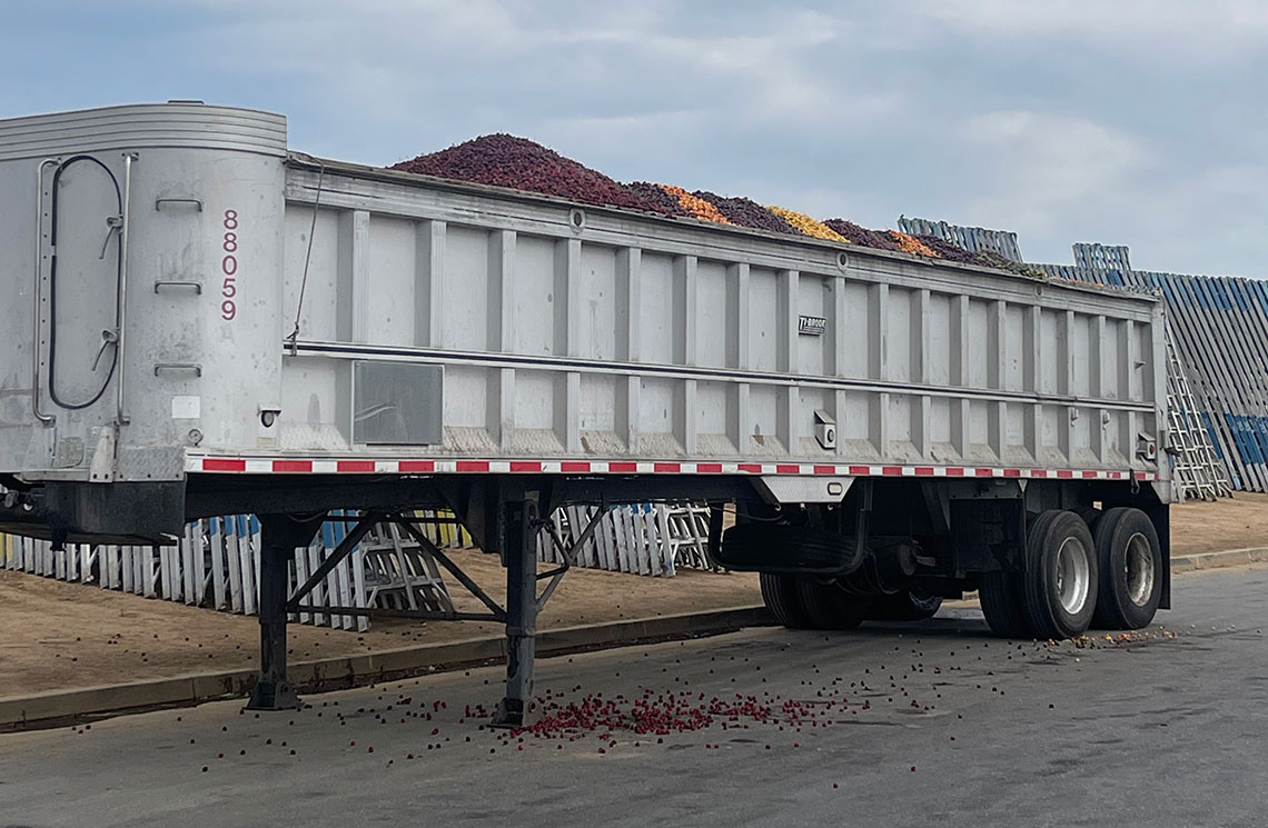 An open-top trailer filled with colorful fruits, parked beside the road.