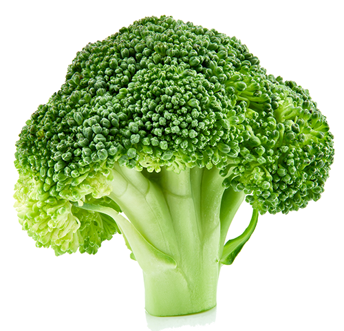 raw broccoli isolated on white background